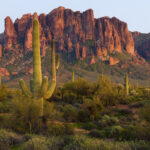 Meet our Team at IFM 2026